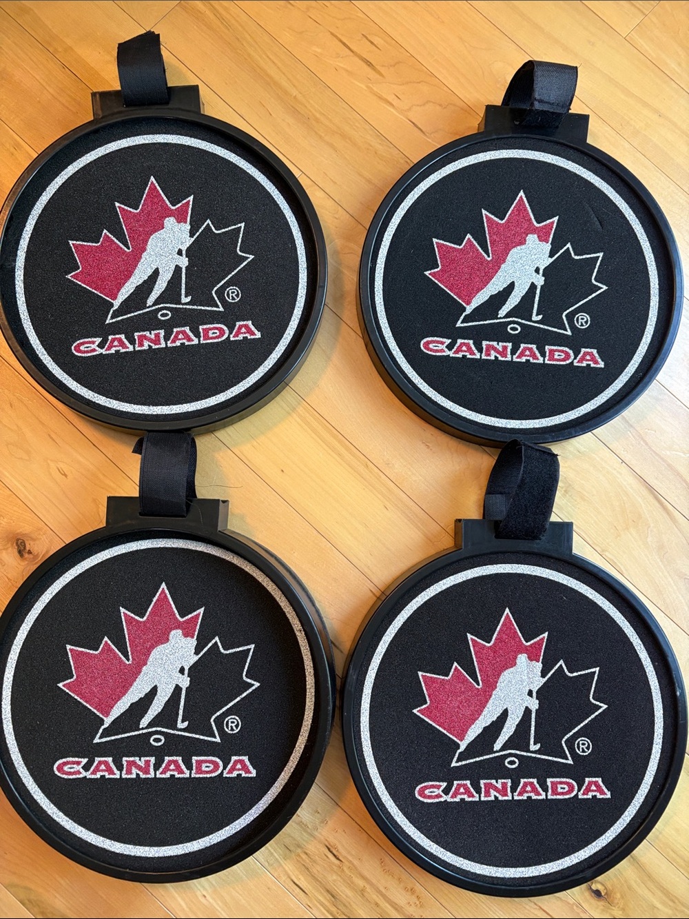 Hockey Canada Puck Targets (4)